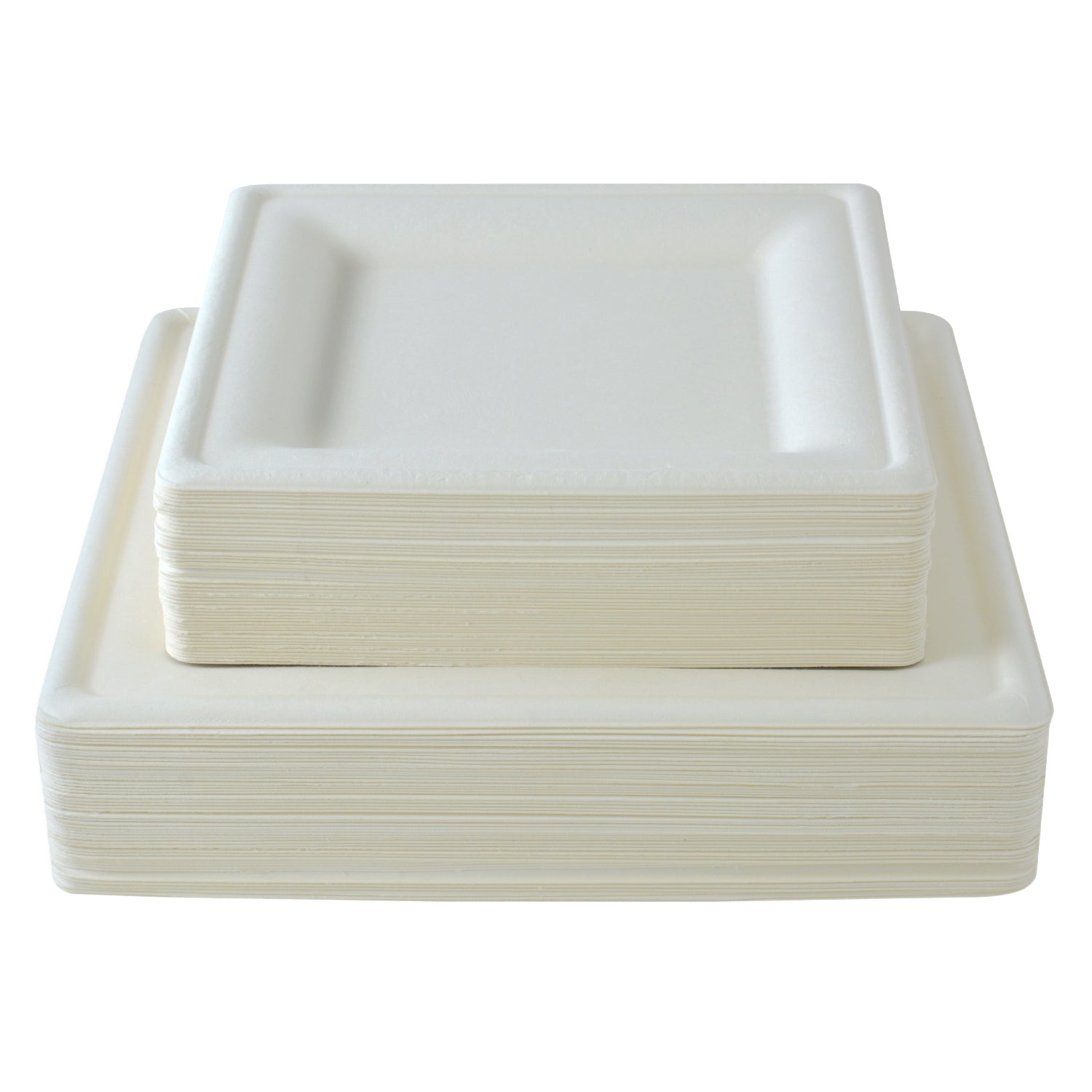 BGW103 Compostable Paper Plates 10.25 Biodegradable Paper Dinner