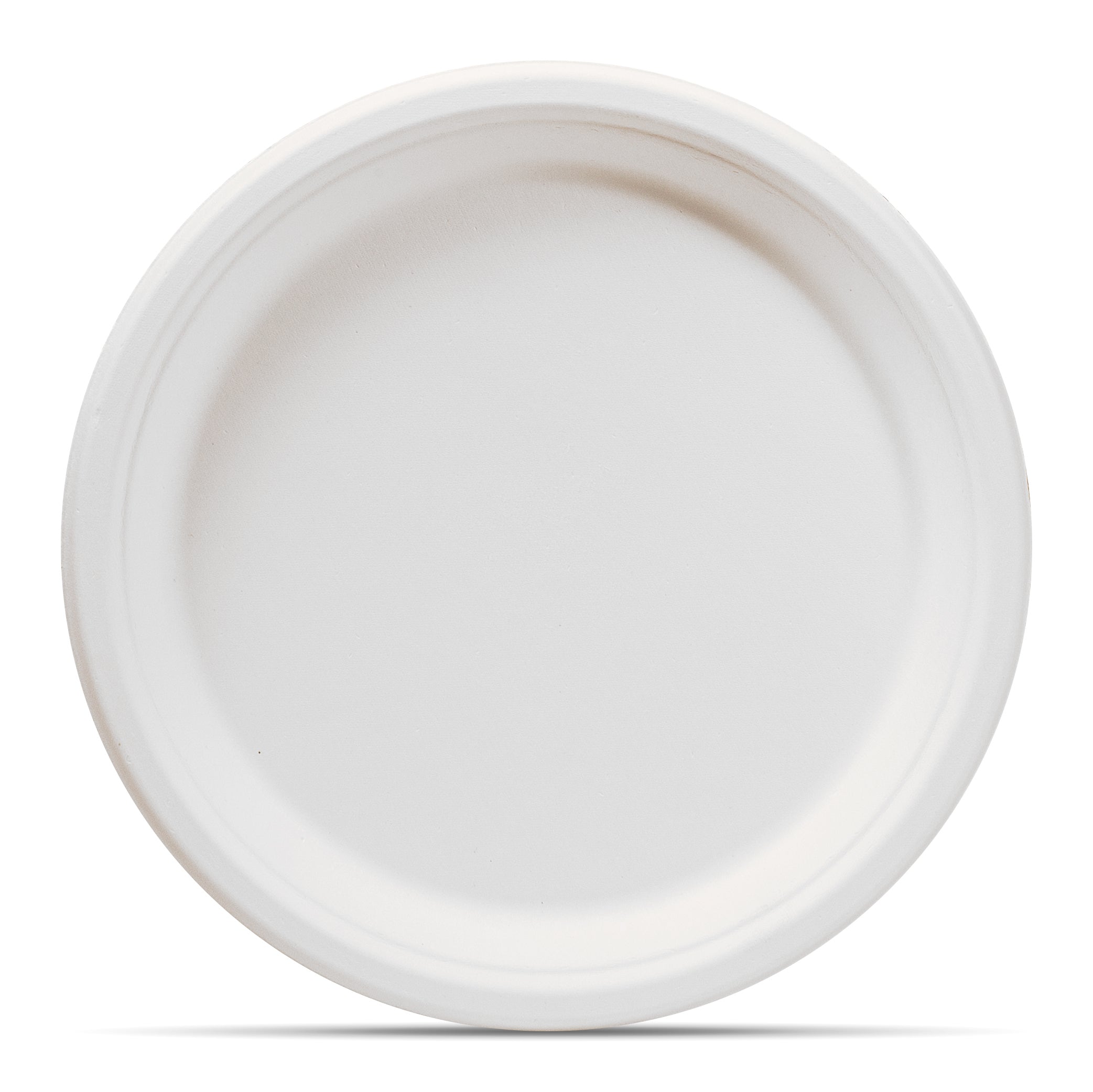 White 2024 paper plates