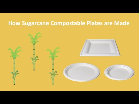Compostable Plates in Bulk or Small Quantity